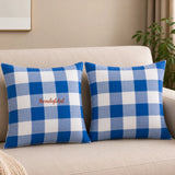 Blue Check Handloom Cotton Cushion Cover